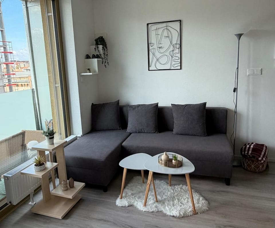Cozy apartment near the center Apartment in Czechia