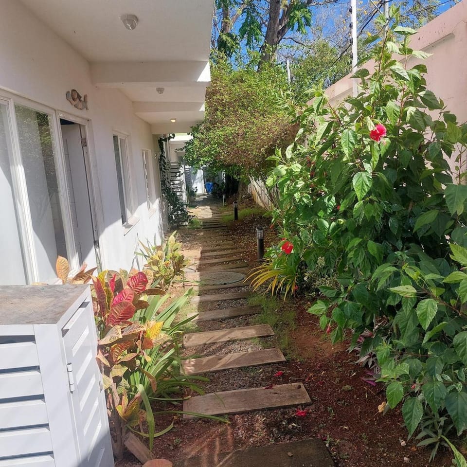 Natty Pearl, your stylish house in the Caribbean Apartment in San Andres