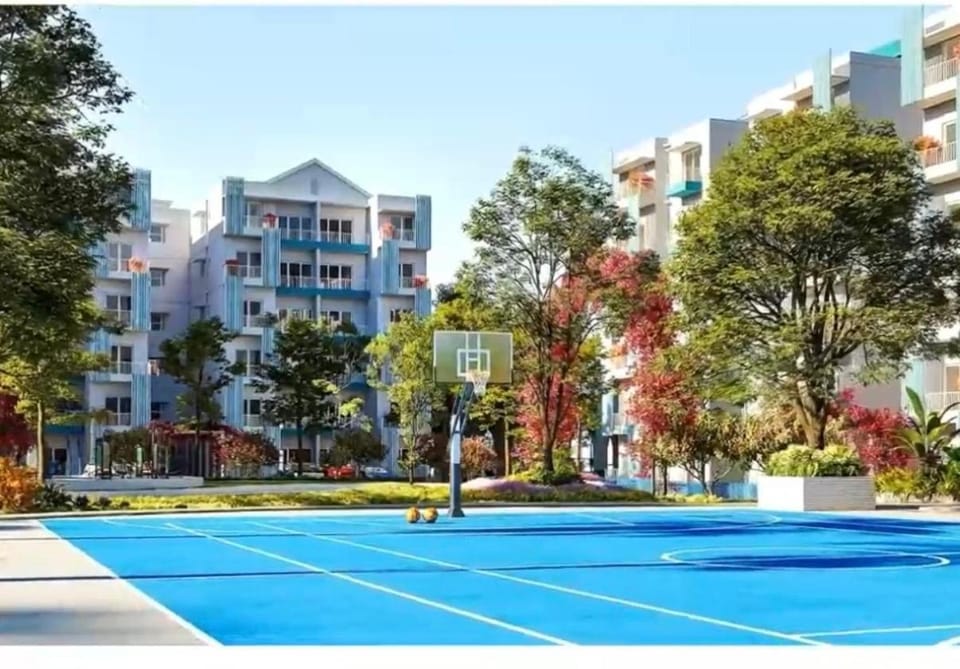 Garden, Swimming pool