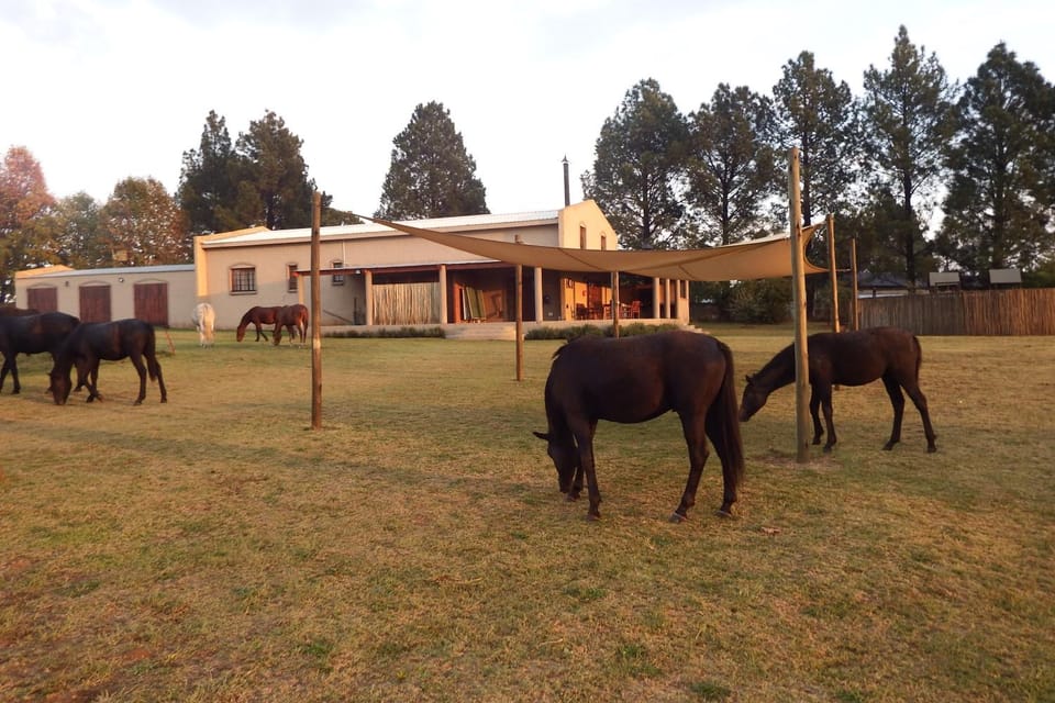 Horse-riding