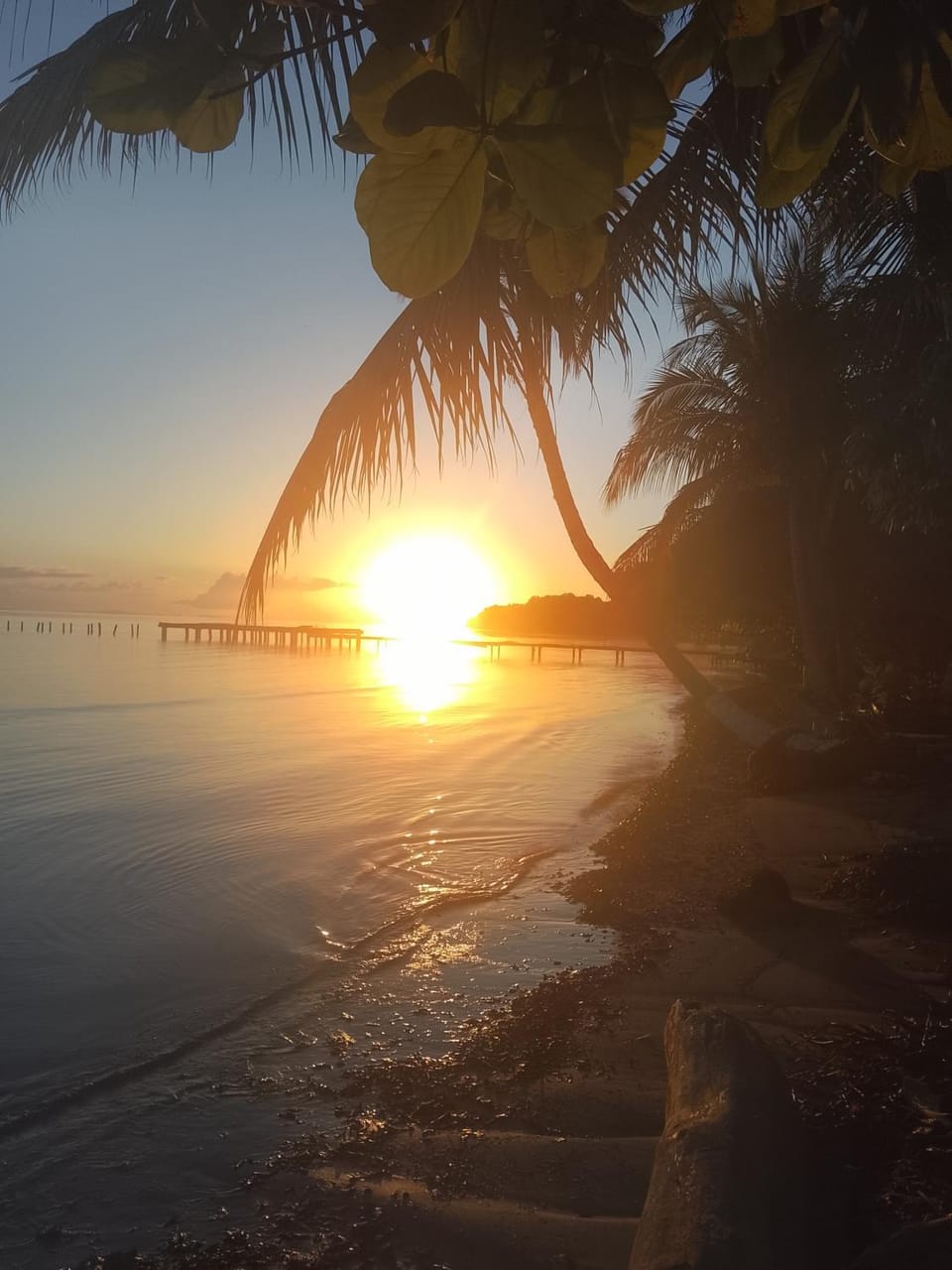 Palmeras de Miramar Bed and Breakfast in Bocas del Toro Province