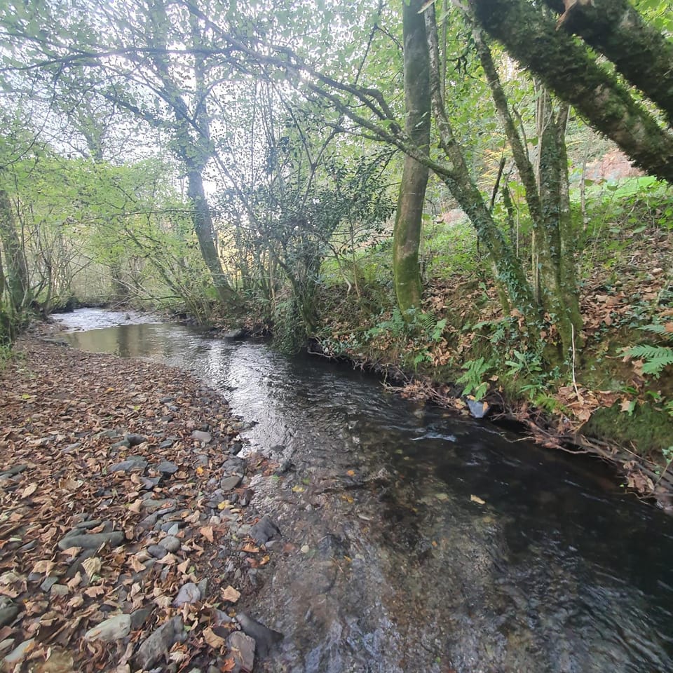 River view
