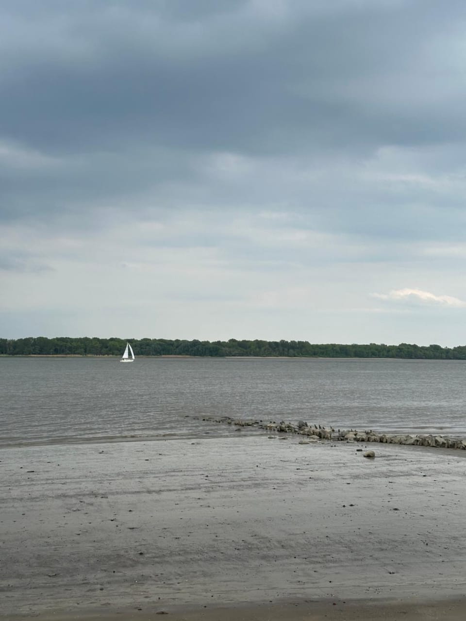 Reet-Denkmal am Elbstrand Apartment in Stade