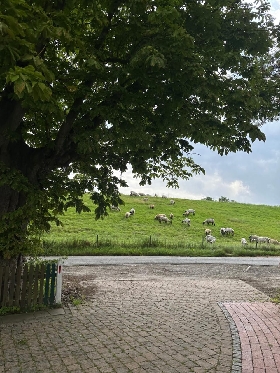 Reet-Denkmal am Elbstrand Apartment in Stade