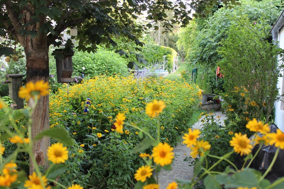 Garden, Garden