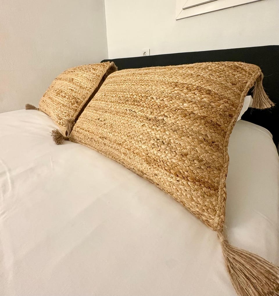 Cosy Lyon Berthelot Apartment in Lyon