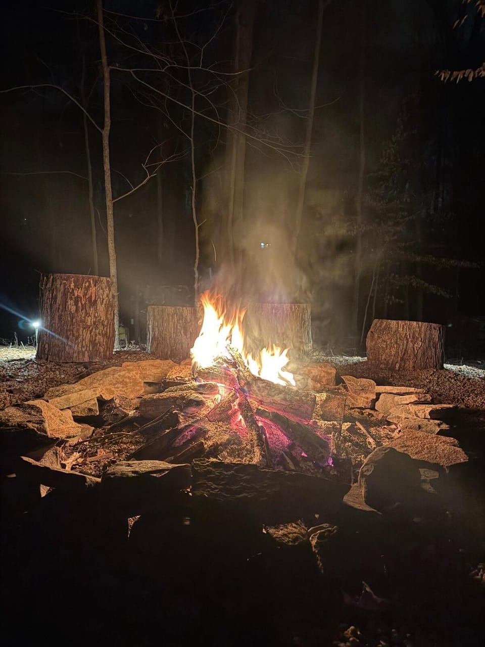 Grinning Mule Lodge Chalet in Mooresville