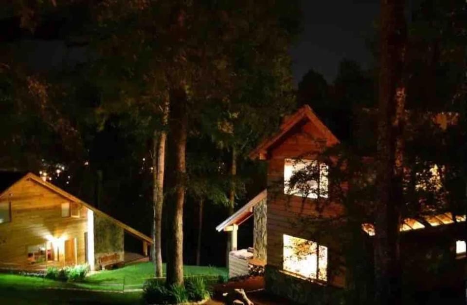 Night, Garden