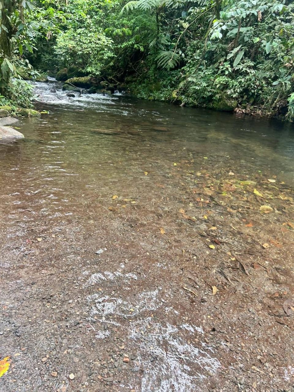 Cabañas Pilones Nature lodge in Heredia Province