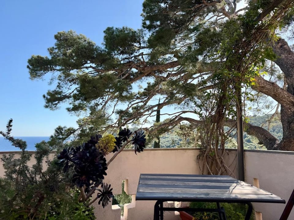 HOST4U - ex Archbishop's House & Terrace, Imperia Apartment in Imperia