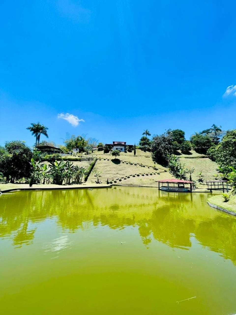 Fishing, Garden