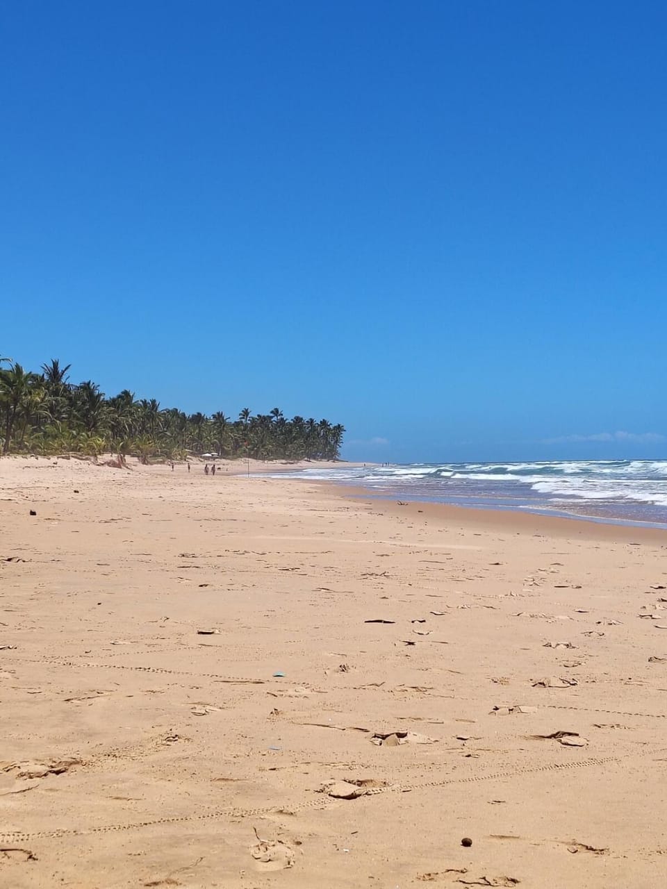 Casa em Taipu de Fora Perto das Piscinas Naturais Apartment in State of Bahia