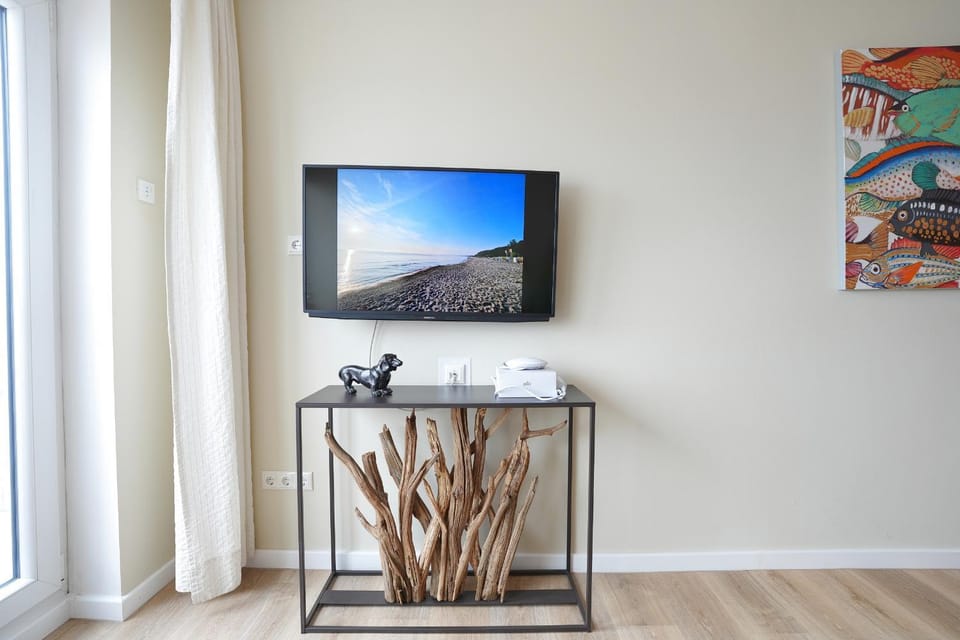 TV and multimedia
