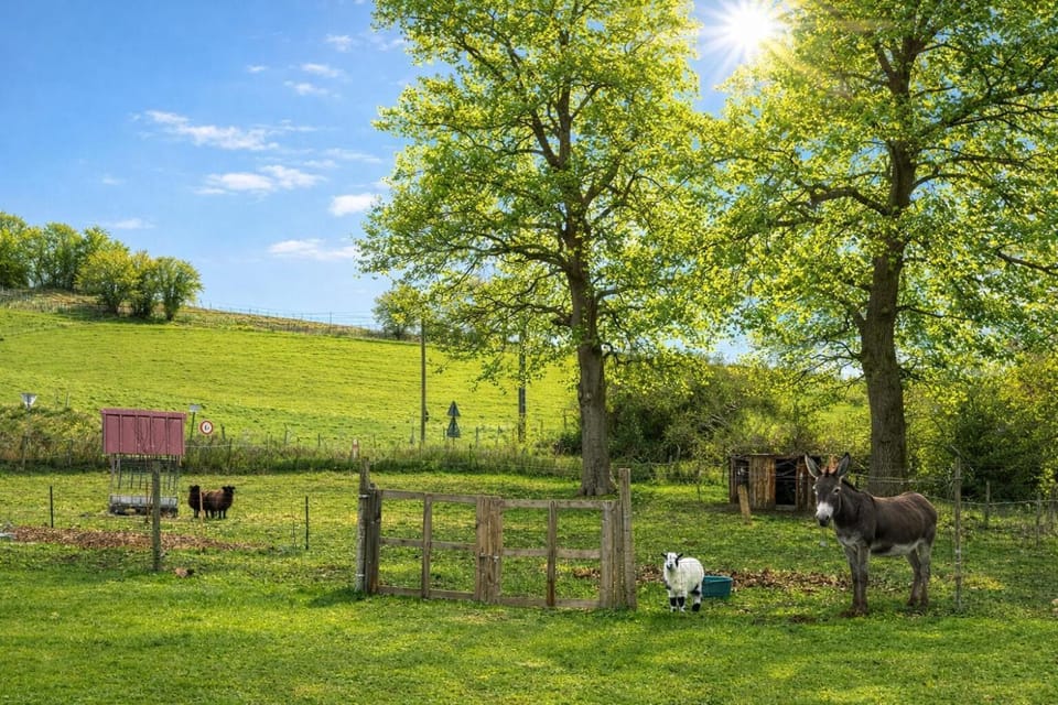 Maison luzouÉ Bed and Breakfast in Nouvelle-Aquitaine