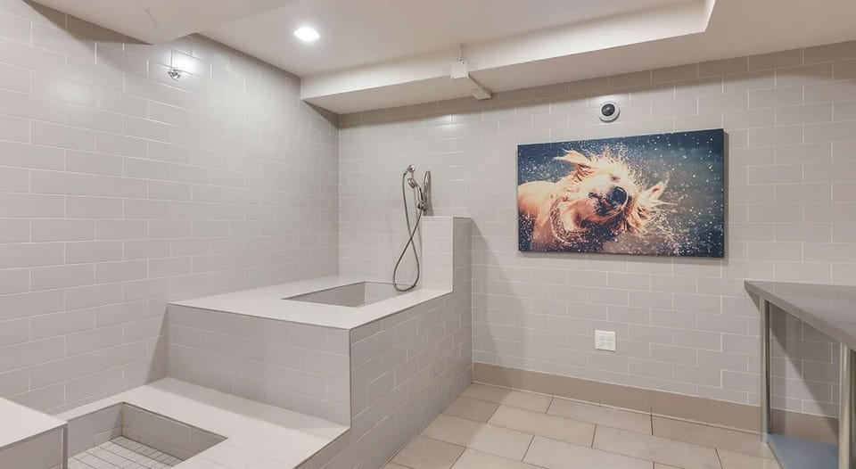 2bed 2bath Highrise Apt in Downtown Atlanta with scenic views Pool Gym, Game room Apartment in Atlanta