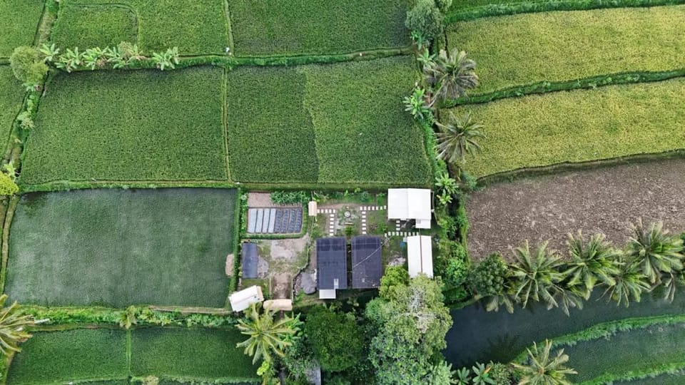 Spring, Day, Natural landscape, Bird's eye view, Garden, Garden view