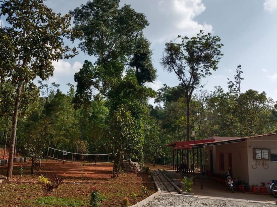 Garden view
