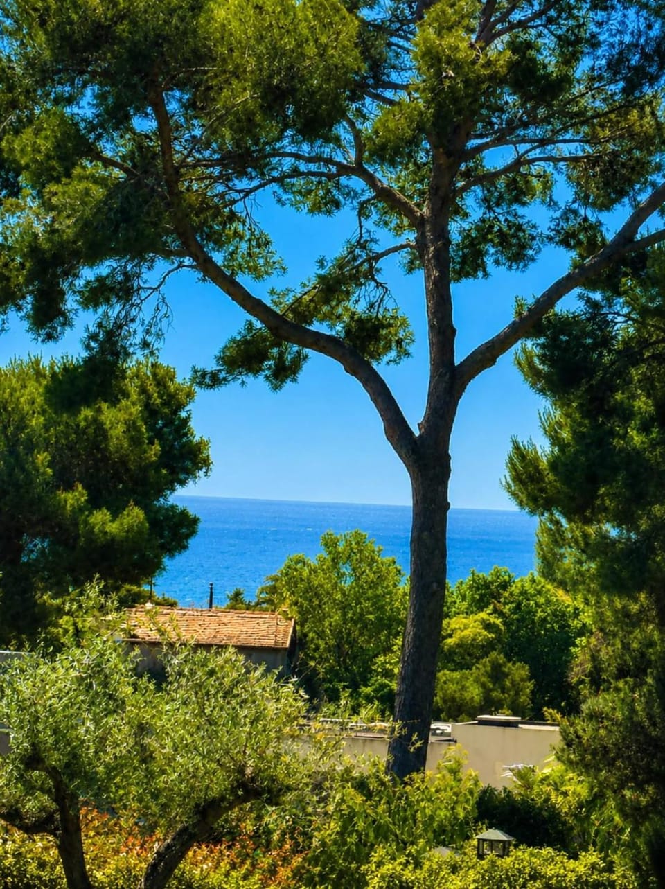 Contemporary luxury villa in Antibes 3 bedrooms 6 guests Pool & parki Villa in Antibes
