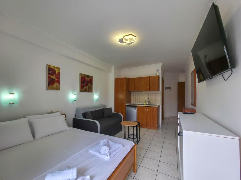 Bed, TV and multimedia, Kitchen or kitchenette, Living room, Photo of the whole room, Seating area, minibar