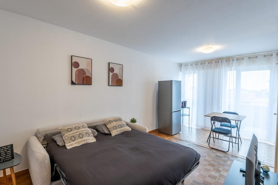 M080 Joli studio avec balcon Apartment in Annemasse