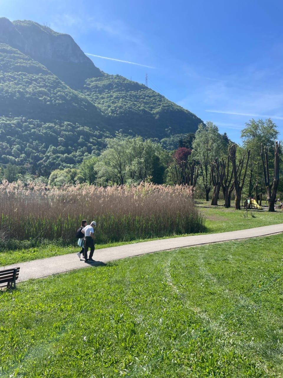 La tana del lupo -soggiorni rilassanti sul lago Apartment in Province of Brescia