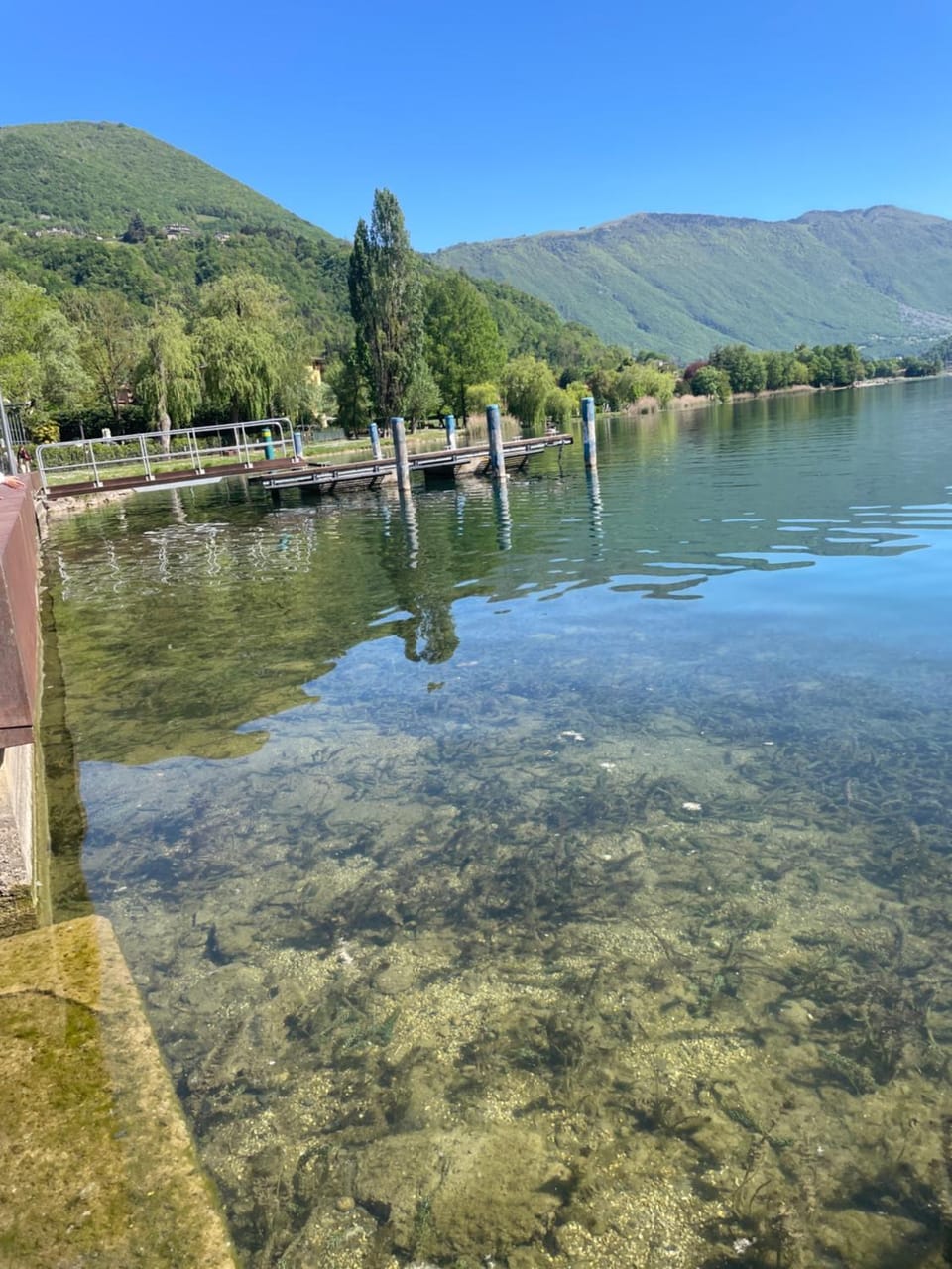 Lake view