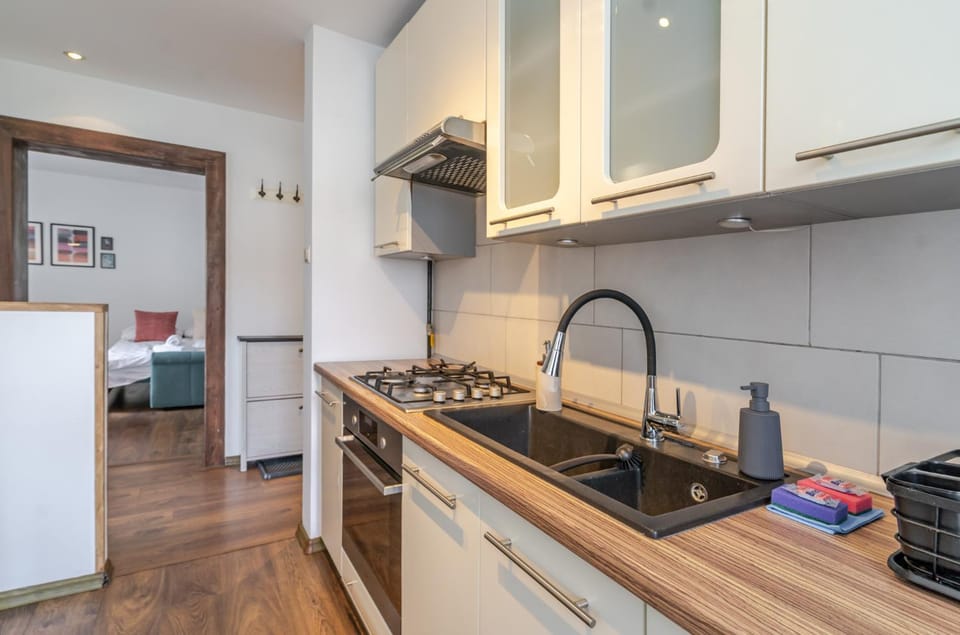 Kitchen or kitchenette, dishwasher, stove
