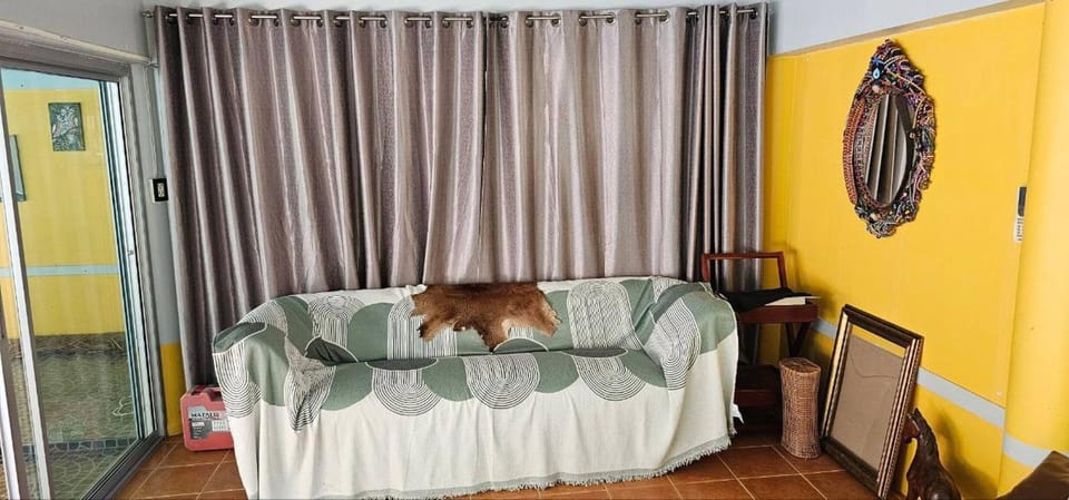 Animals, Pets