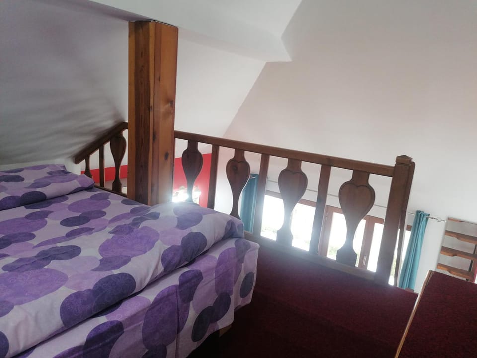 Apartman Beli Bor Vila Mir Apartment in Zlatibor
