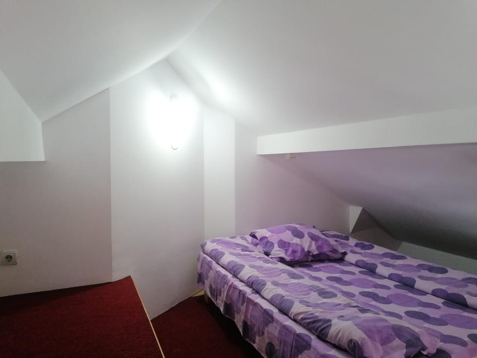 Apartman Beli Bor Vila Mir Apartment in Zlatibor