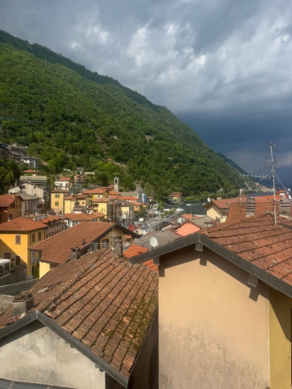 View (from property/room)