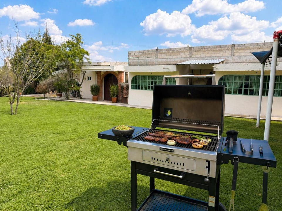Day, BBQ facilities, Garden