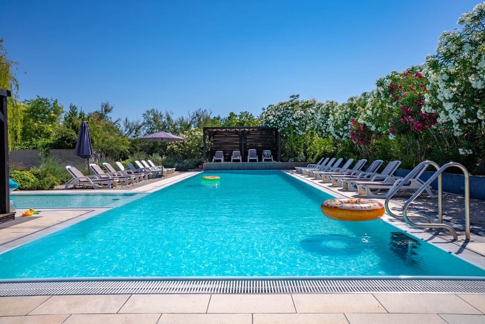 Garden, Garden view, Pool view, Swimming pool, Swimming pool, sunbed