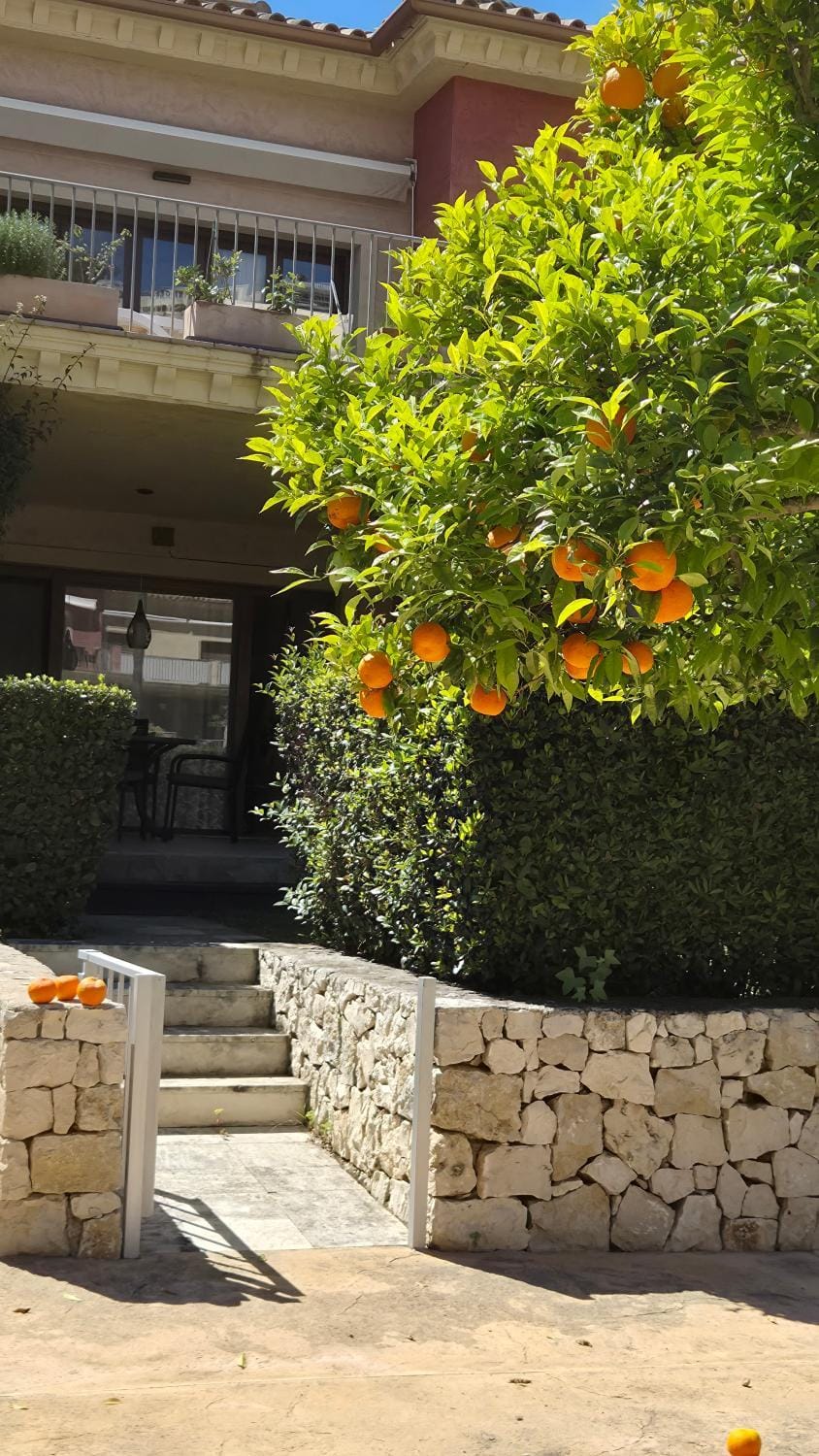 Property building, Garden, Garden view