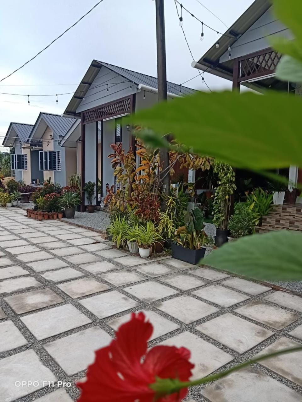 Little Misha Stay Inn in Terengganu, Malaysia