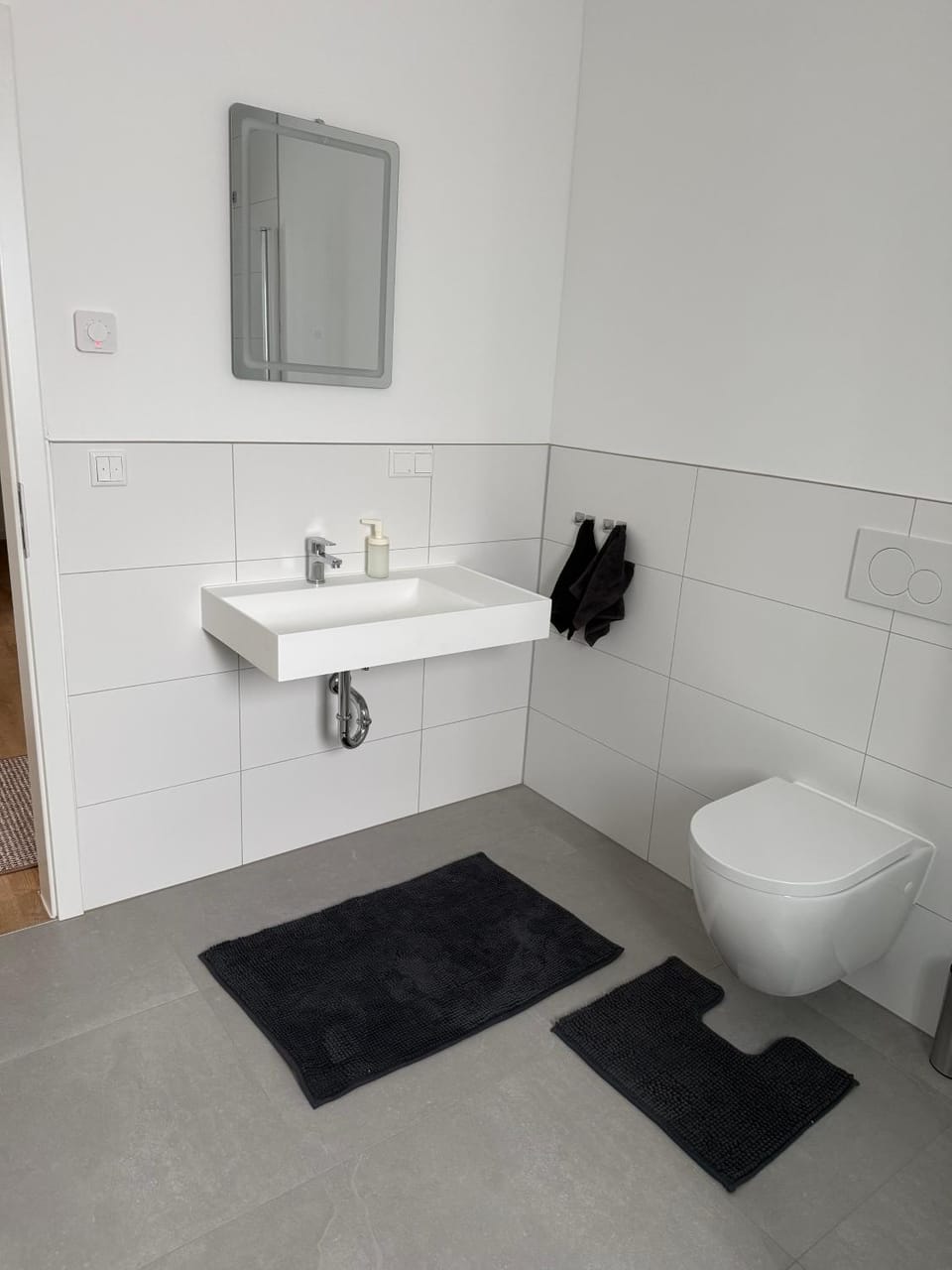 Bathroom, Living room