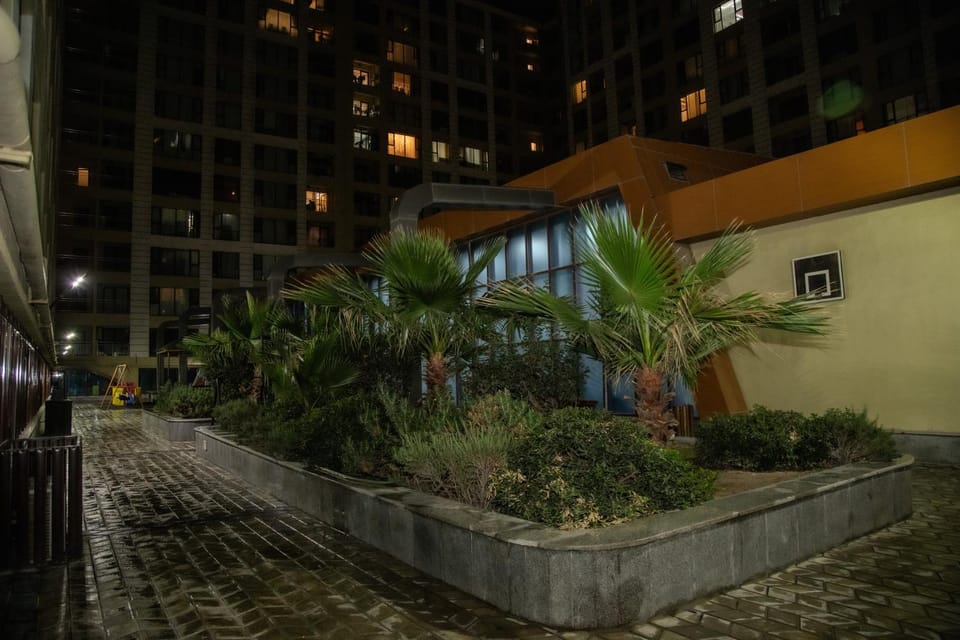 Property building, Night, Garden, Garden view