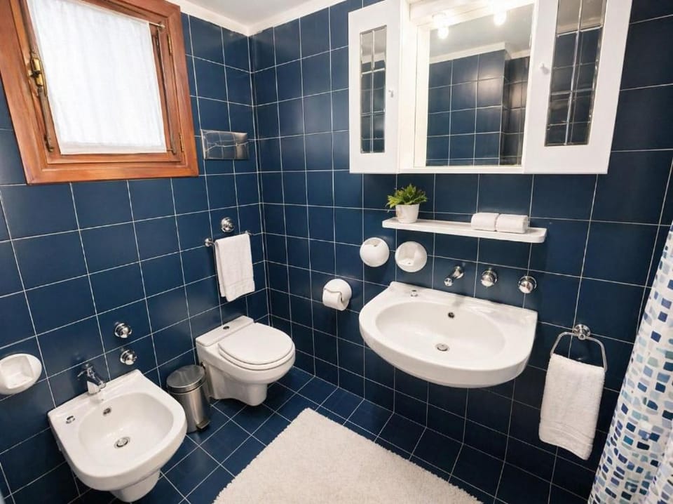 Shower, Toilet, Bathroom, bidet