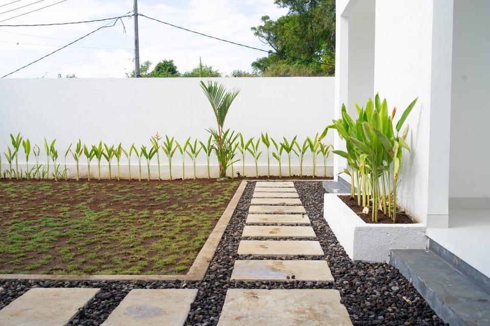 Day, Garden, Garden view