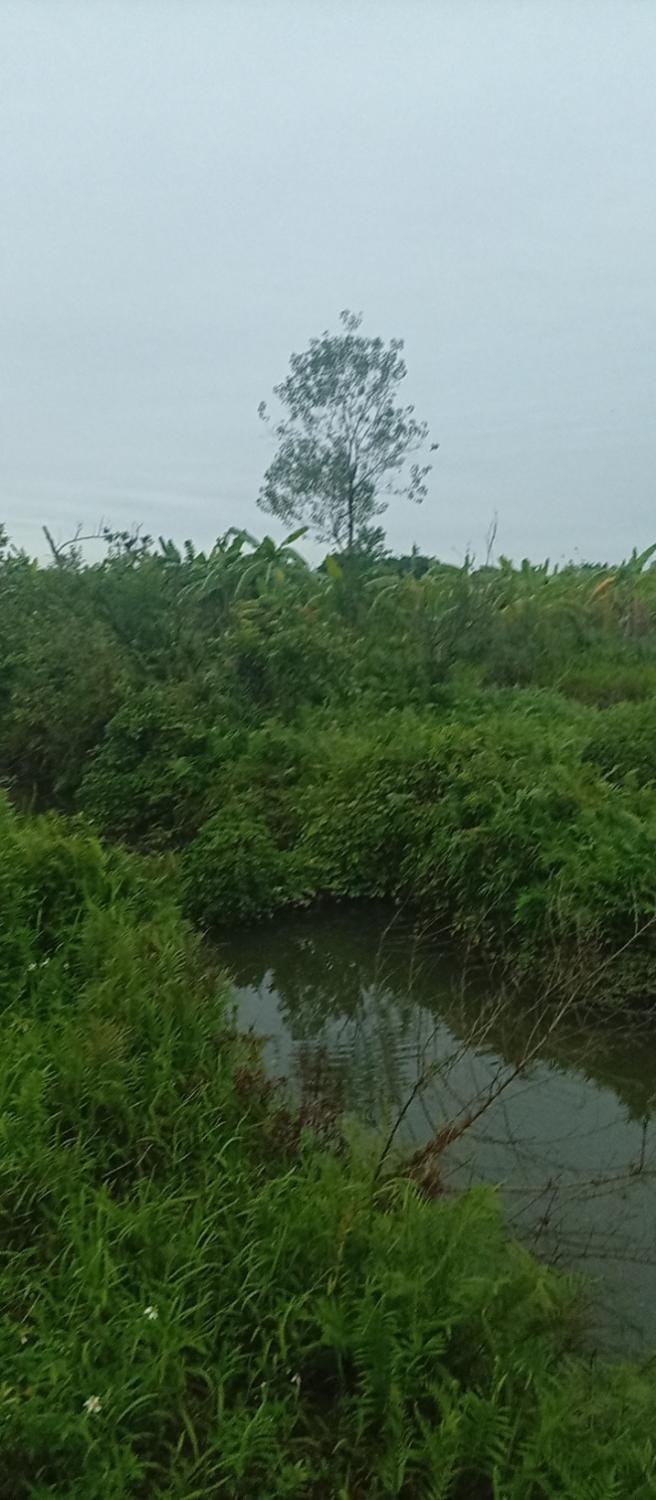 Trại luân Campground/ 
RV Resort in Vietnam