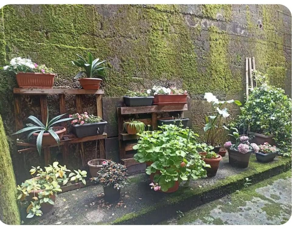 Casa Lu' Apartment in Province of Lecco
