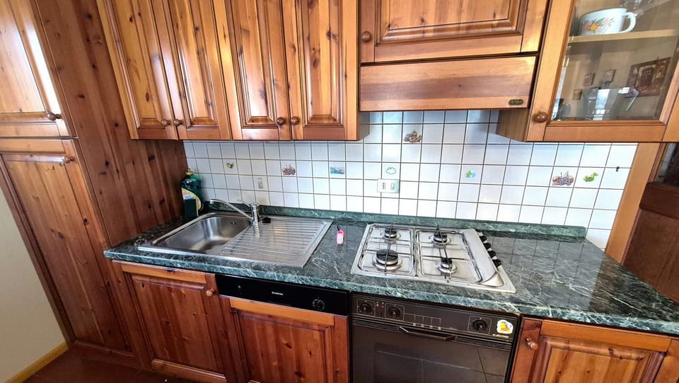 Kitchen or kitchenette, dishwasher, stove