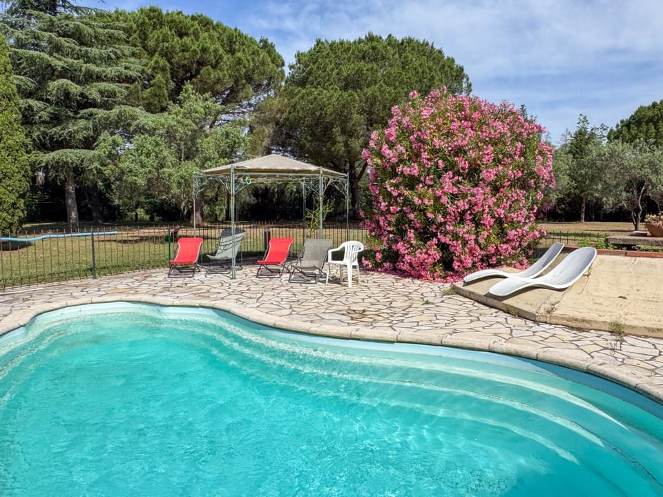Garden, Garden view, Swimming pool, sunbed