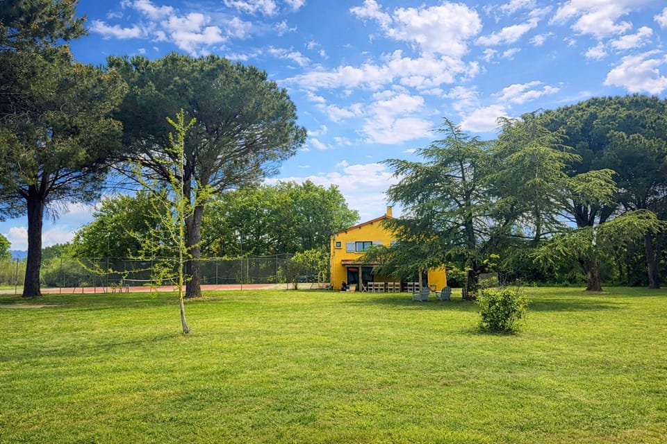 Day, Natural landscape, Garden