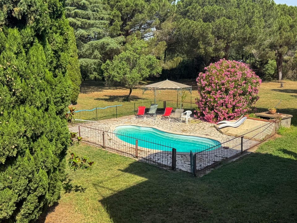 Day, Garden, Swimming pool, sunbed