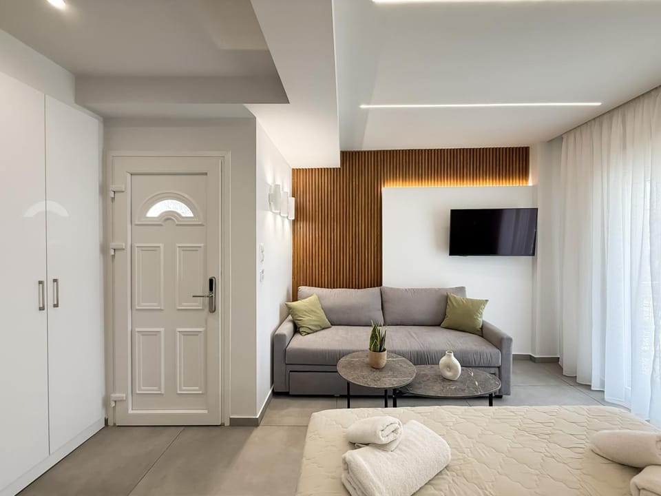 Bed, TV and multimedia, Living room, Photo of the whole room