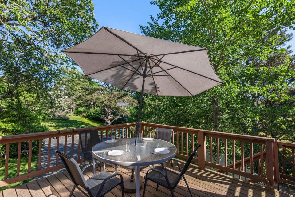 Great location dog friendly Central AC House in Chatham