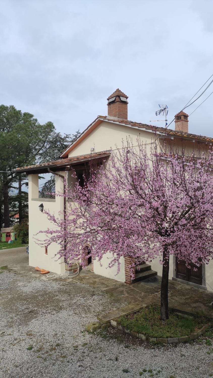 Property building, Spring, Day, Garden, Garden view