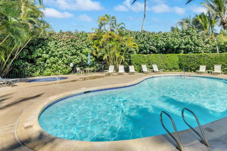 Hale Niu peek ocean view Apartment in Wailua