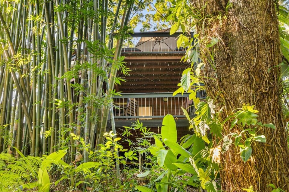 Garden, Balcony/Terrace, Garden view